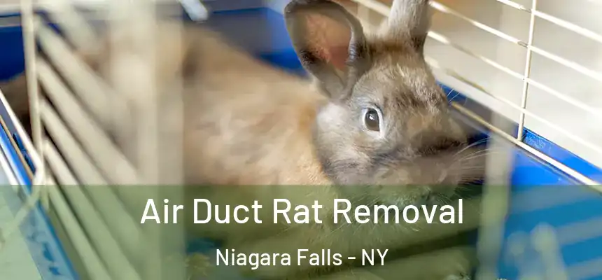  Air Duct Rat Removal Niagara Falls - NY
