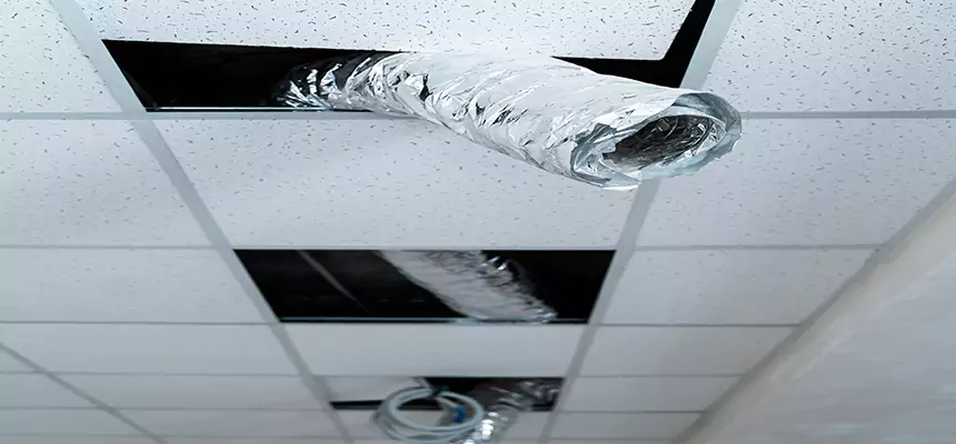 Affordable HVAC Sanitizing After Pest Removal in Niagara Falls