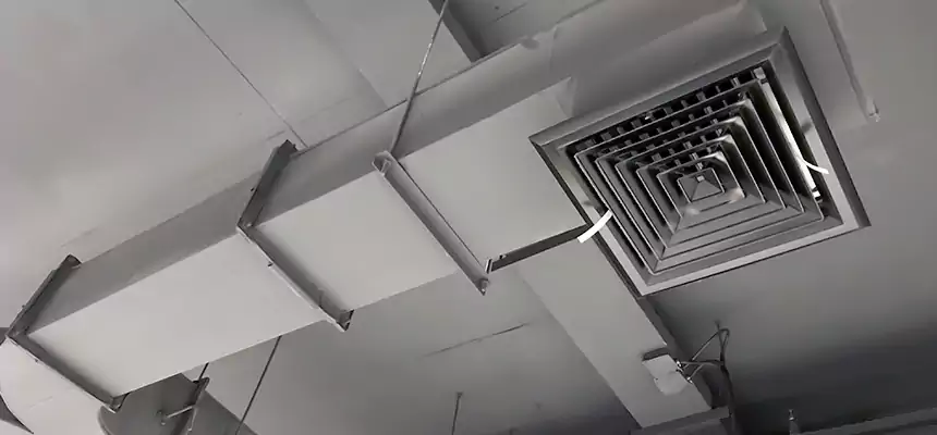 Restorative Allergy Relief Vent Cleaning – Coil, Blower & Housing Detail in Niagara Falls