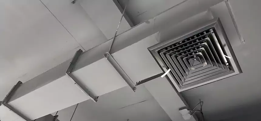 Our Rodent Droppings In Vents Services in Niagara Falls, NY