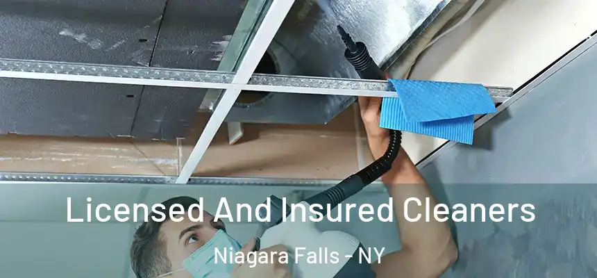 Licensed And Insured Cleaners Niagara Falls - NY