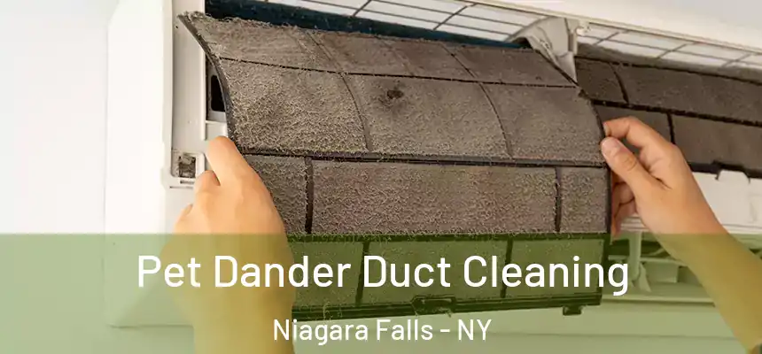Pet Dander Duct Cleaning Niagara Falls - NY