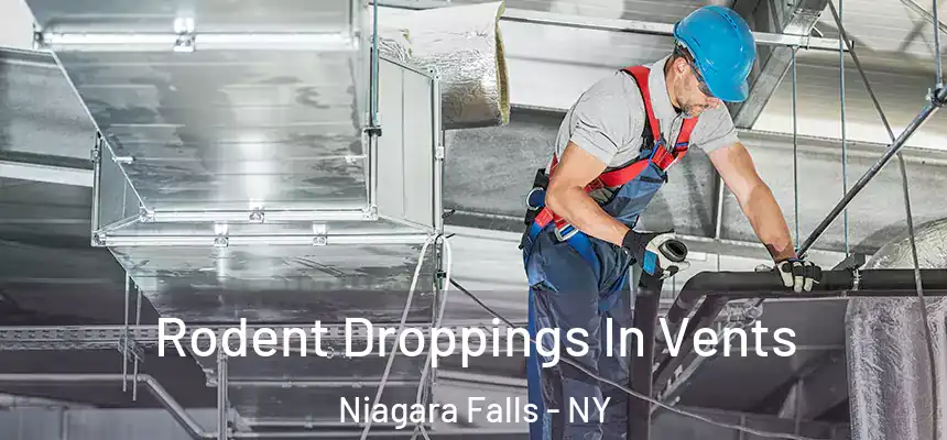  Rodent Droppings In Vents Niagara Falls - NY