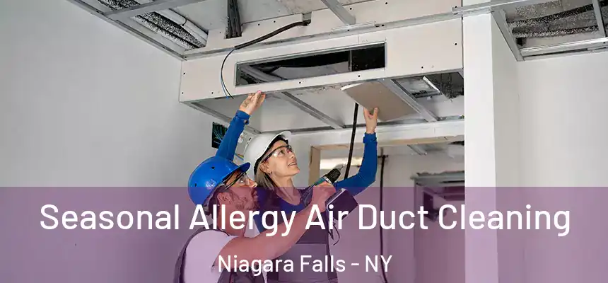  Seasonal Allergy Air Duct Cleaning Niagara Falls - NY
