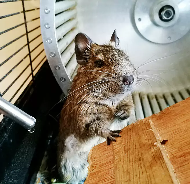 Why Homeowners & Businesses Trust Us Niagara Falls, NY